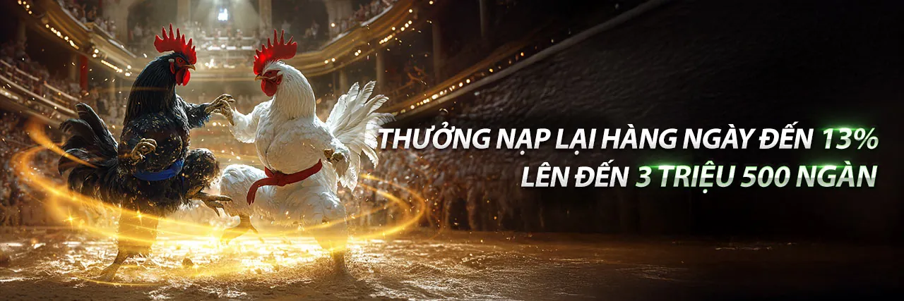 Hình ảnh đá gà trực tuyến kịch tính tại vn583 trang chủ chính thức